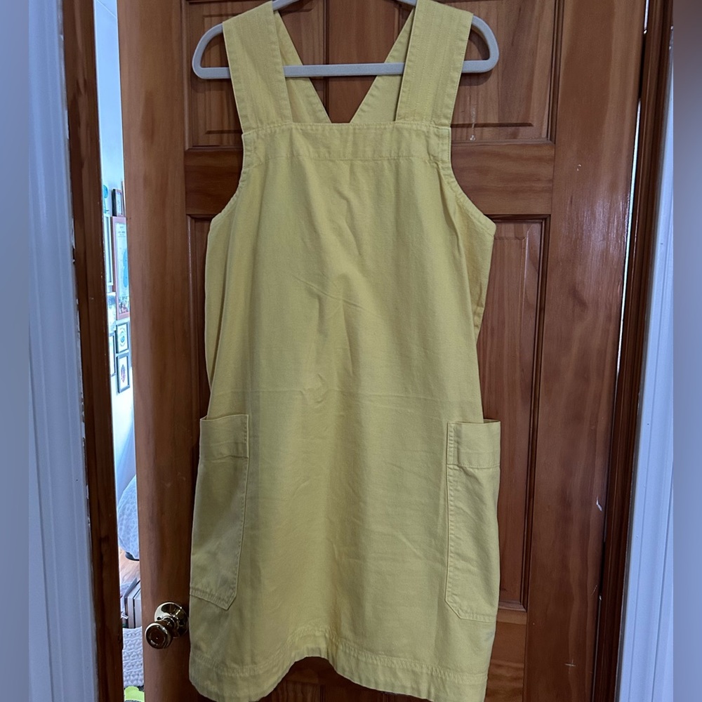 Everlane Cross-Back Apron Mini Dress